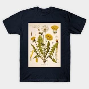 Dandelion Flower Growth Phases T-Shirt